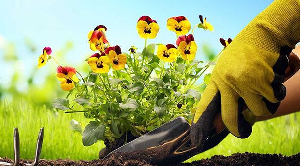 Hvad bruges arbejdshandsker til?